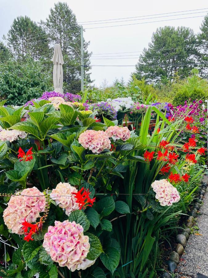 Garden Home In Victoria -Beautiful Home In วิกตอเรีย ภายนอก รูปภาพ