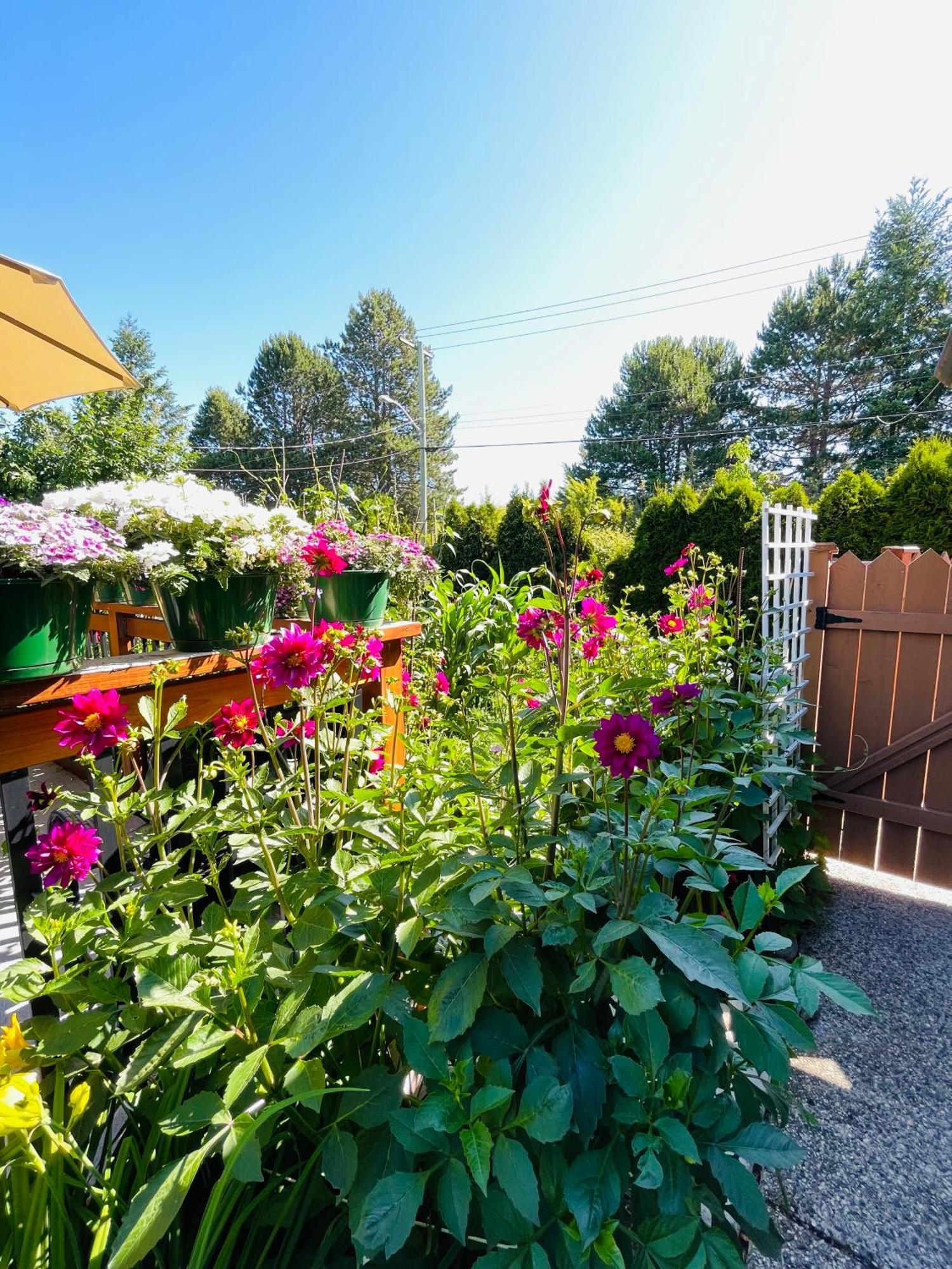 Garden Home In Victoria -Beautiful Home In วิกตอเรีย ภายนอก รูปภาพ